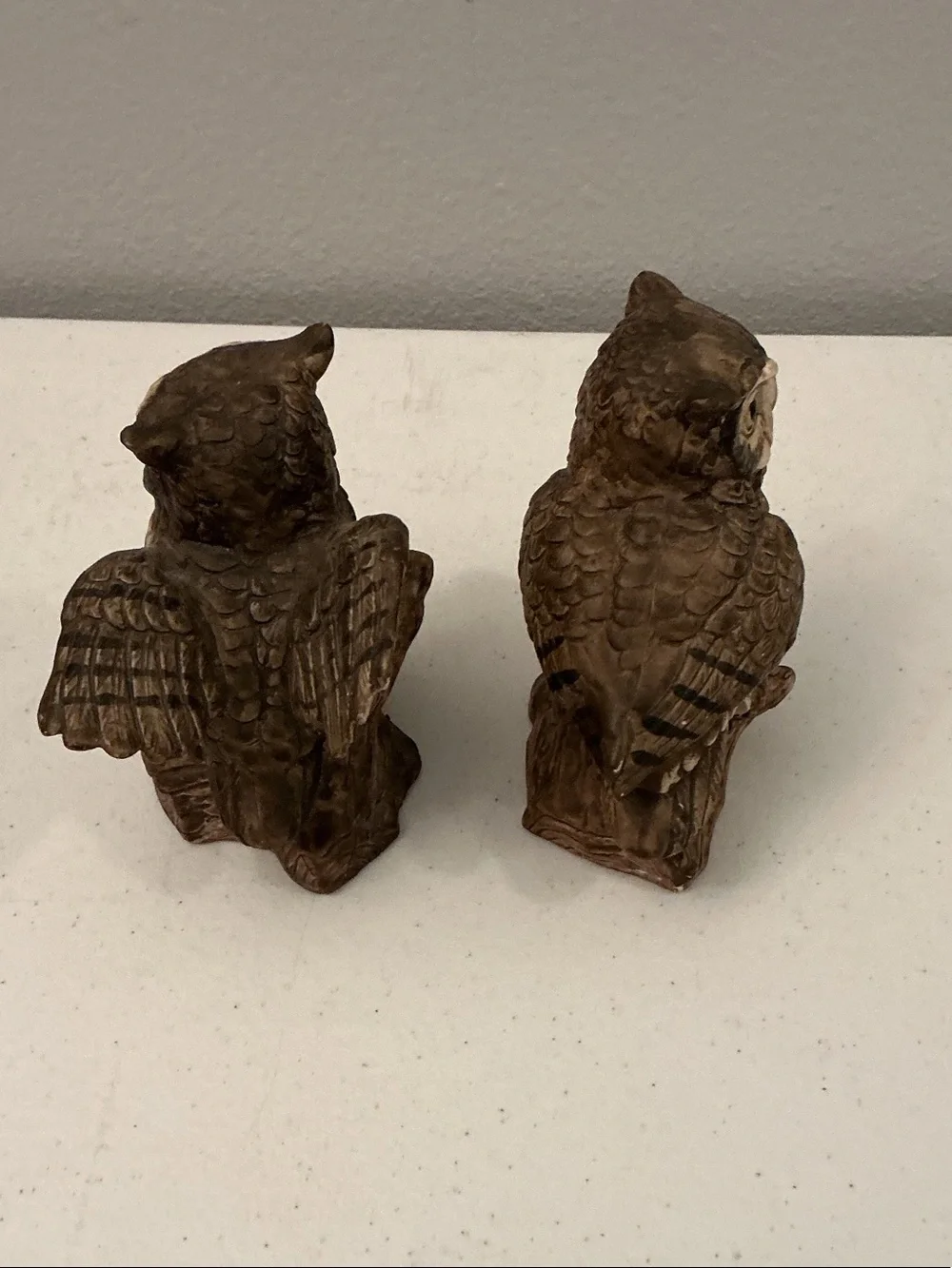 Norleans owl warm